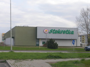 Stokrotka w Świdnicy 1